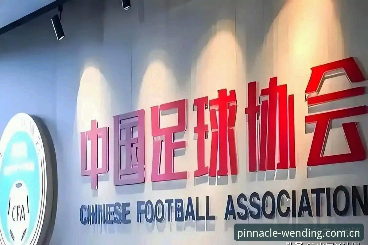 问鼎中国下载 揭秘中国足球重磅罚单:17人终身禁足背后的行业暗流与问鼎电子官网独家深度解读